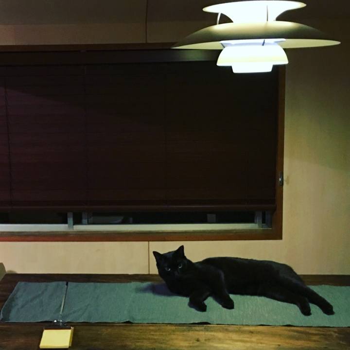 20a62f4d 0659 423b bb70 715a2f9dc386 1537100179638