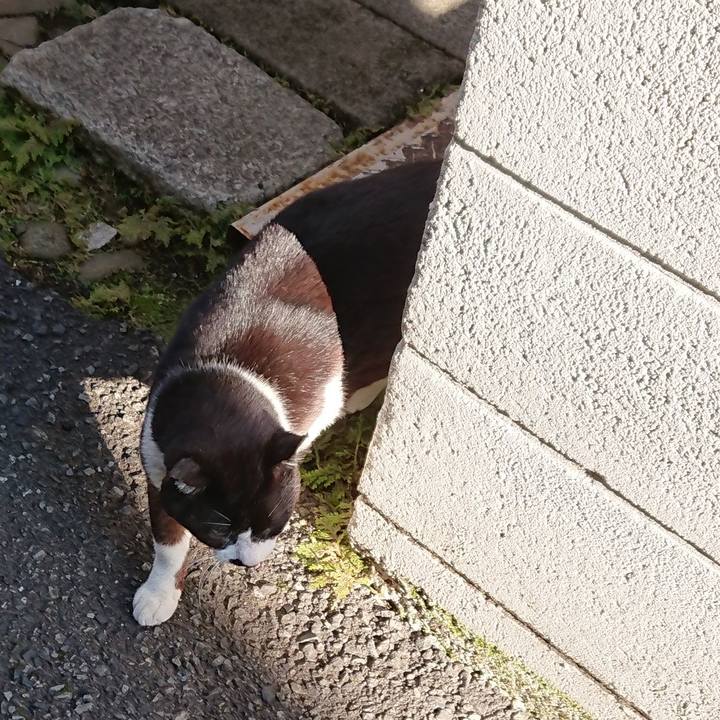 20a66090 9588 4cbb bc0e ed70df76c6e2 1615779027142