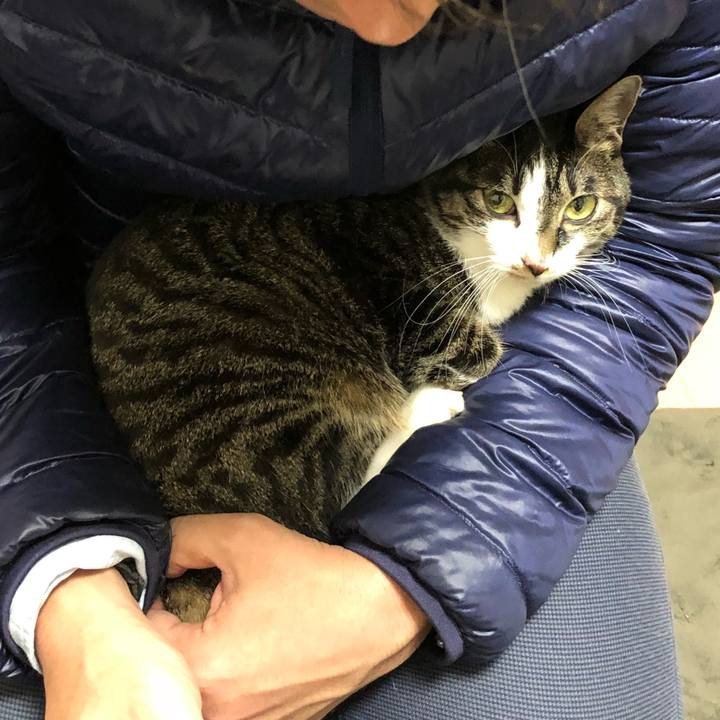 20a67c1c db51 4373 9d7d 8c57de3f249e 1516107556301