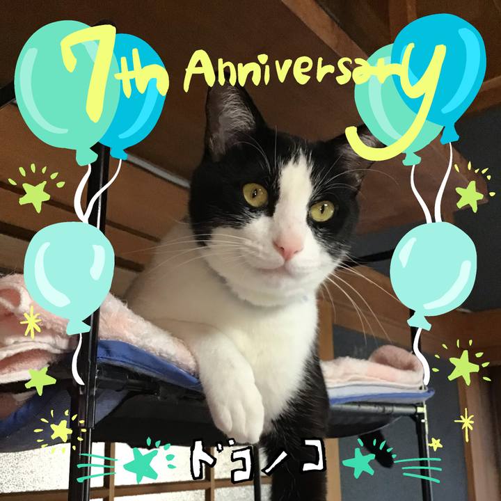 20a6a224 4cd3 4ff5 952e 8e98a8b12912 1685960758842