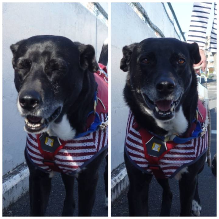 20a70f6e 41cb 44d7 b385 18aee1b52f29 1683073624661