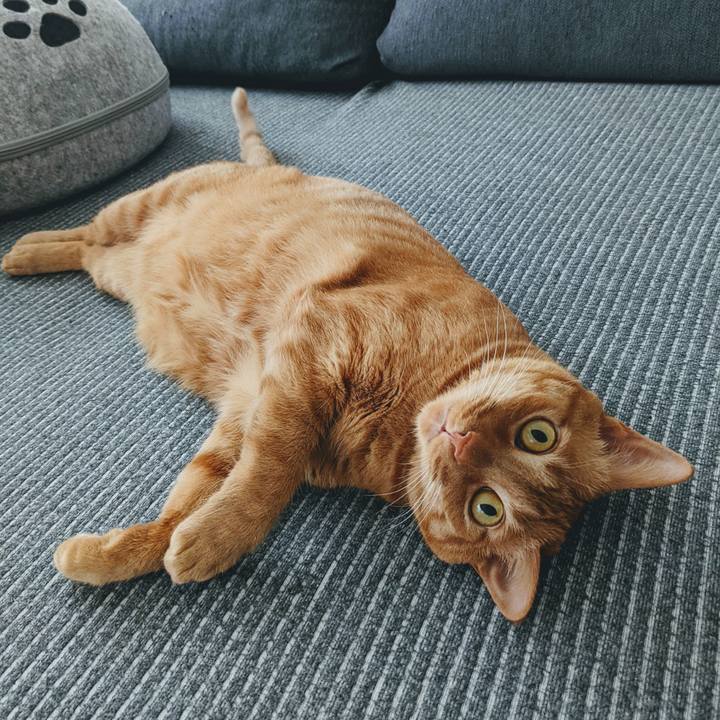 20a714c1 8ff3 4a62 be5b a5ce2ddef6dd 1651310444987