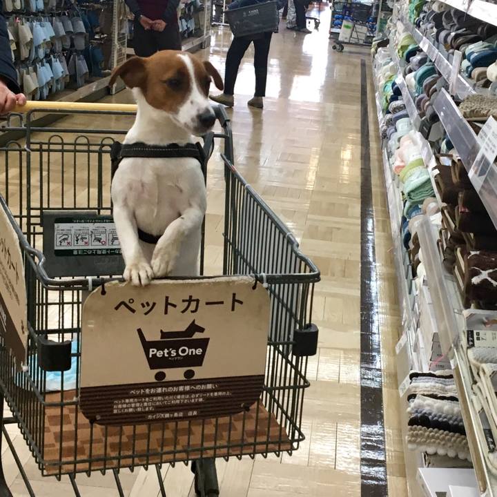 20a71777 0386 42a9 8eb9 5196de592440 1519522590396