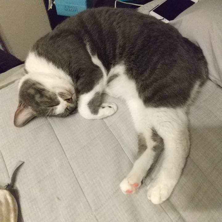 20a71bd1 f6c7 4046 9da2 6aa2b585b31d 1633701486251