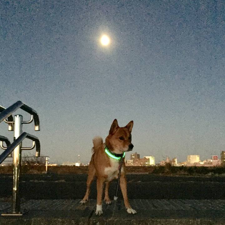 20a71ff1 a453 4528 a07a 621bfe1ebede 1515018245991