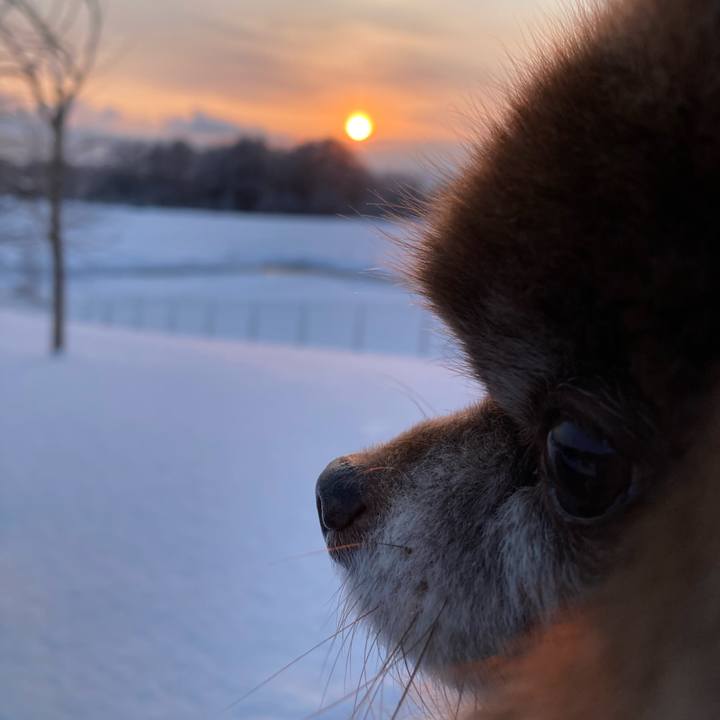 20a72438 bf38 4971 bd31 2bce369892b5 1644660104501