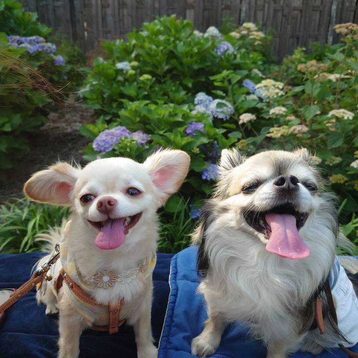 20a75701 d918 44dd bc0c c9f5c01f11b7 1687269561354