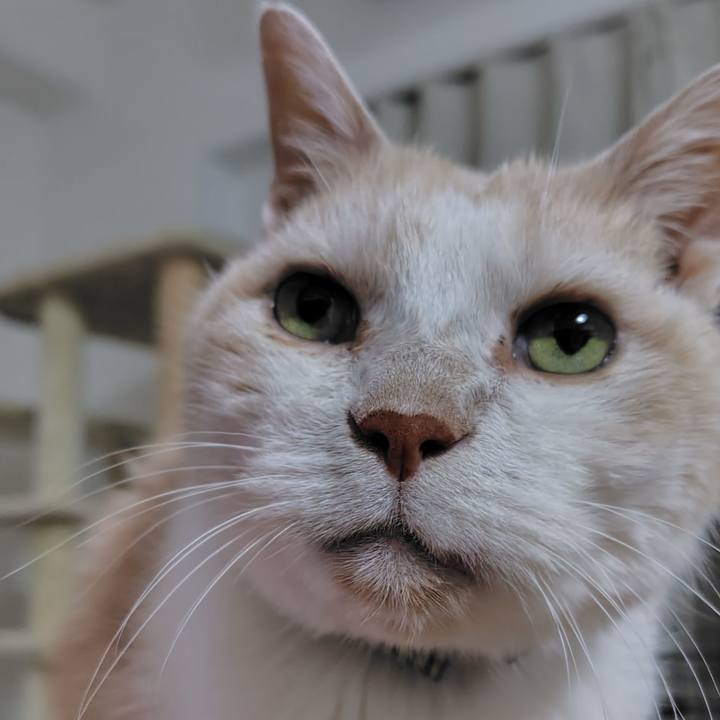 20a76f32 f61d 4ae6 8e3f a0b1565a7289 1770986129623