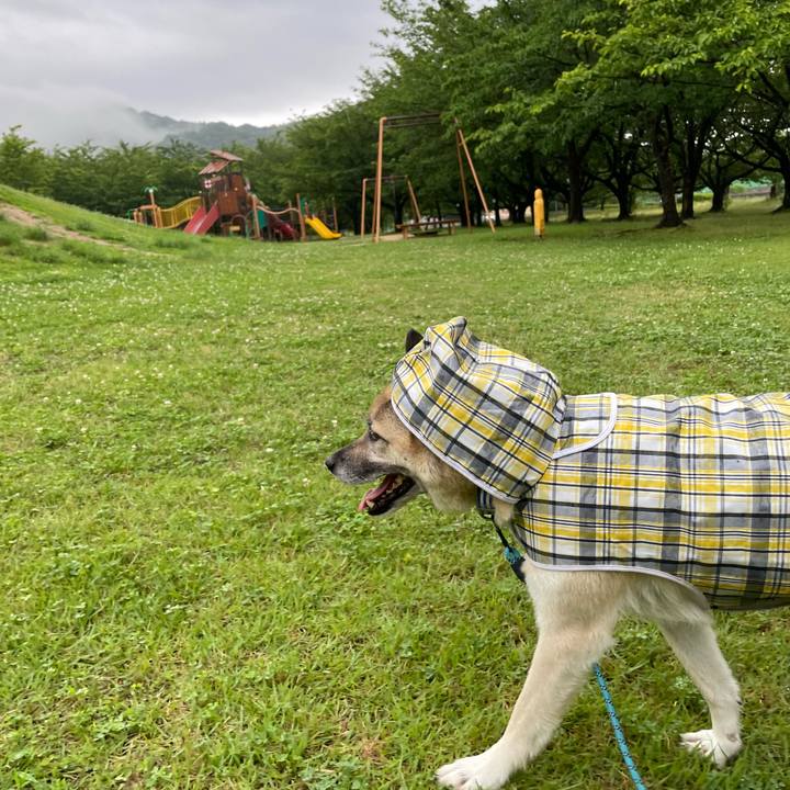 20a781af 5eae 4906 9dc5 cf6d4772cf31 1719146096437