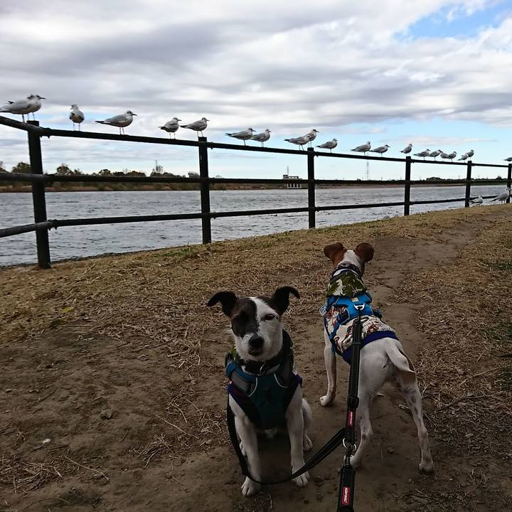 20a79e63 2339 425c 8f15 ee3a35ecab28 1543982653310