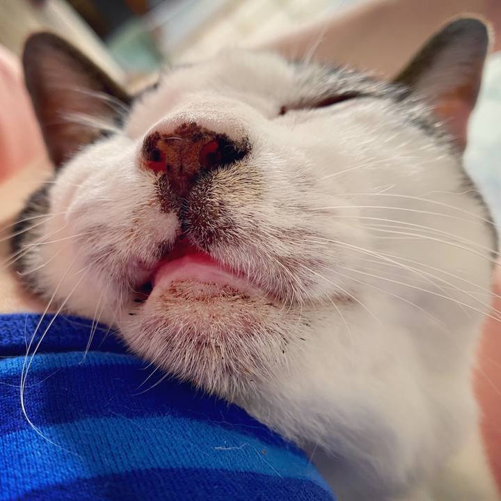 20a7e62c 26d5 4dc6 84b9 ff353f5961ab 1591685080495