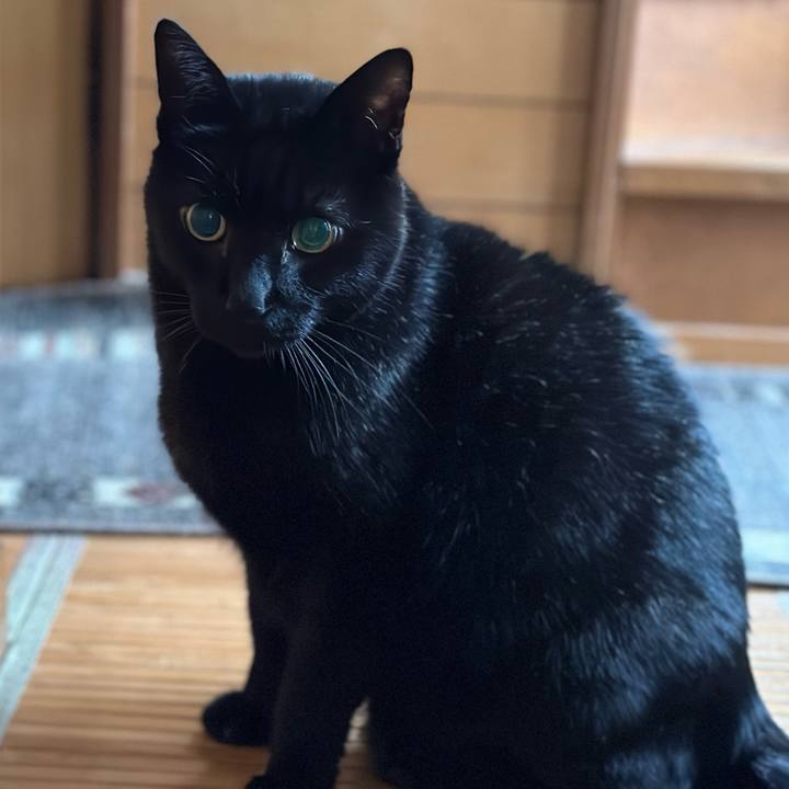 20a803bd 8fb5 4011 a1b3 a34d100ae753 1669169344367