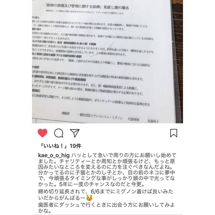 20a80d6e b4f4 4b61 8c39 cf01beca4955 1527810823146