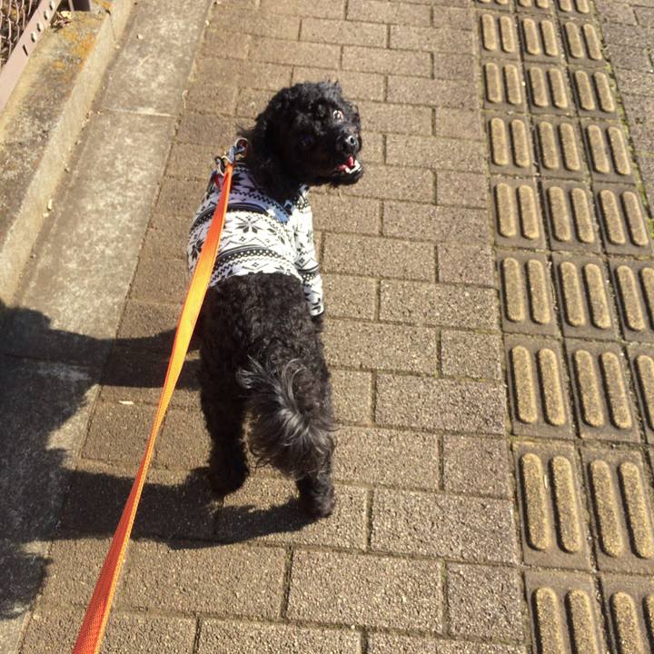 20a81da5 d89c 457d b69d 55c1aaa6bee8 1512273627487