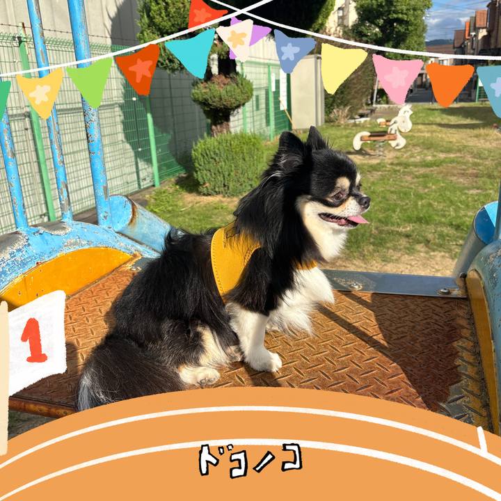 20a84ed6 ac94 4125 9dfc e7f64927ac8e 1761629925415