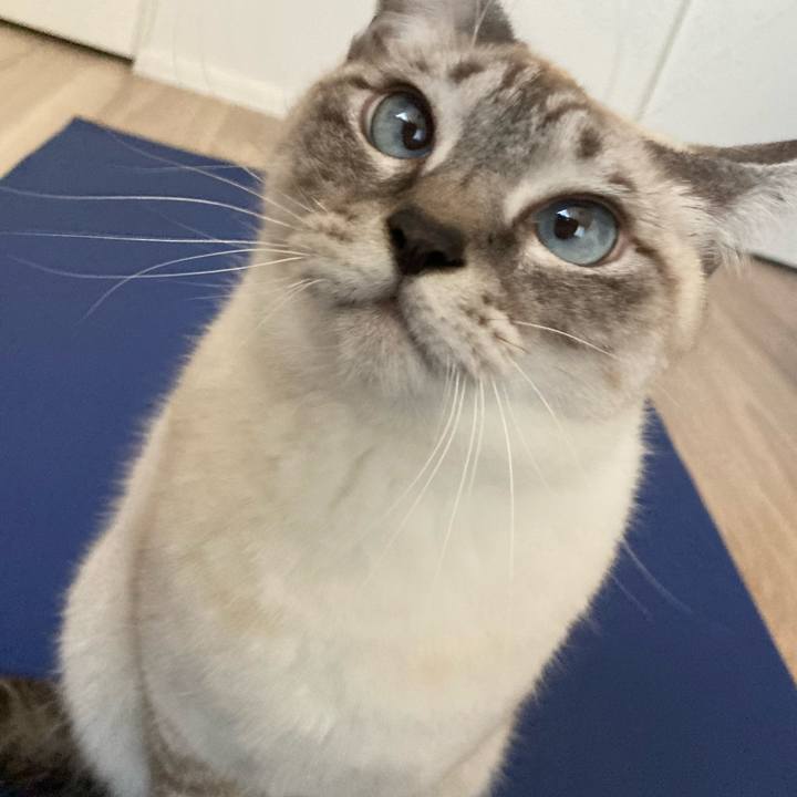 20a86835 bbb0 433c 9023 c659680ad516 1703578283006