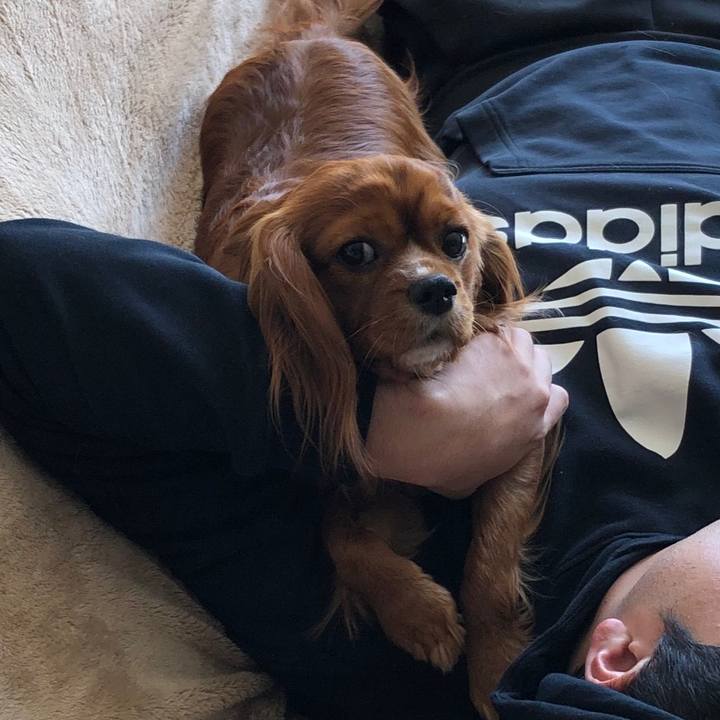 20a87c3d 5d93 47a6 be30 e7968694dbb4 1551194738331