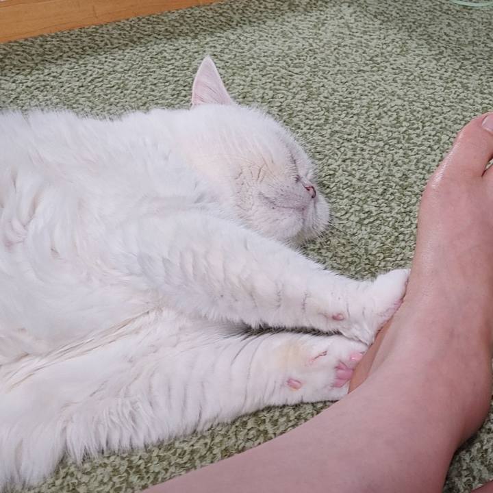 20a8950f 597b 4ab7 8d9e 8e81f10b8a06 1747885063791