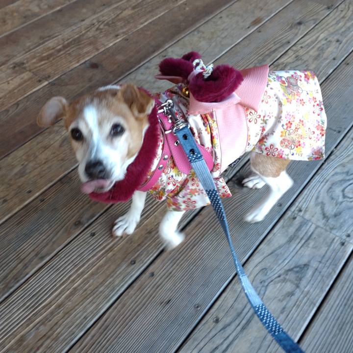 20a8b43d 4d04 4eb0 b30c c6420f34d9d7 1767235174826