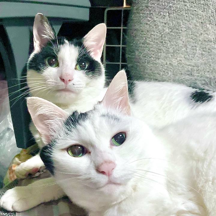 20a93b81 84fc 4718 b85b 3759f3f6ecda 1691024300478