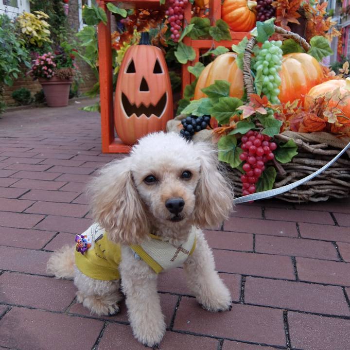 20a95583 e9c1 426b b0ea a0a64e81440f 1635584284603