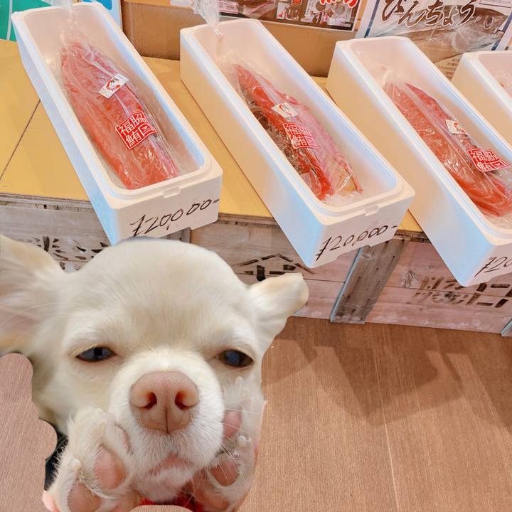 20a9951d 4d26 4c50 98b3 c3d6992c2fe1 1673426764287