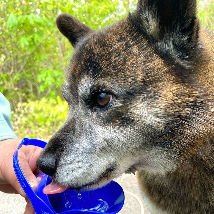 20a99818 17da 4290 9578 5834d4dfb4e8 1651192112916