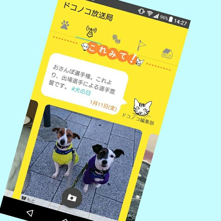 20a9be43 3cfd 44a7 94b2 f83959ed6976 1547213452299