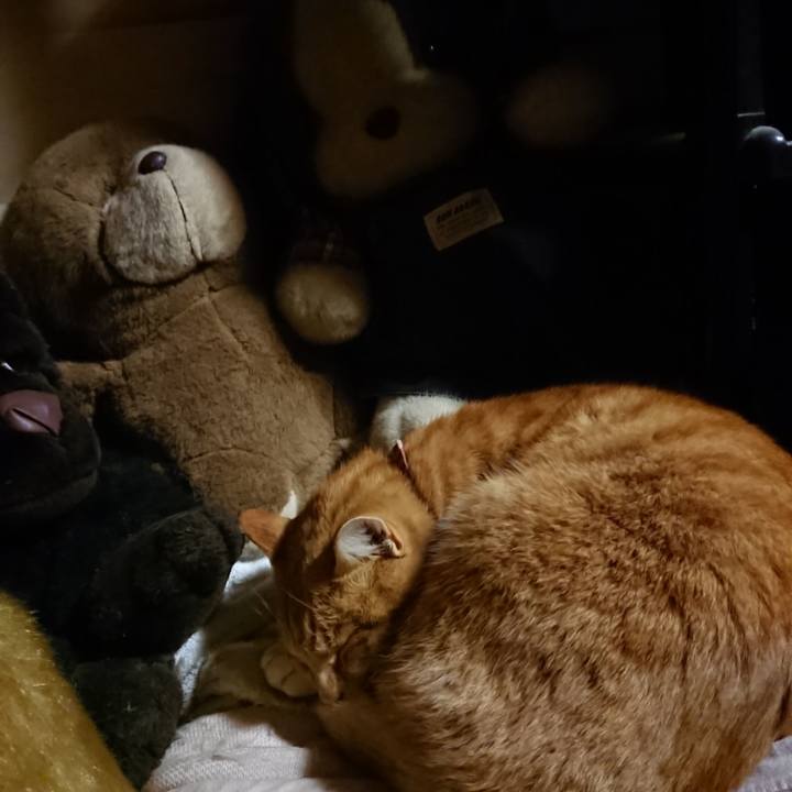 20aa23e2 6867 4e4b a31e 77e804dff4ab 1605177289662