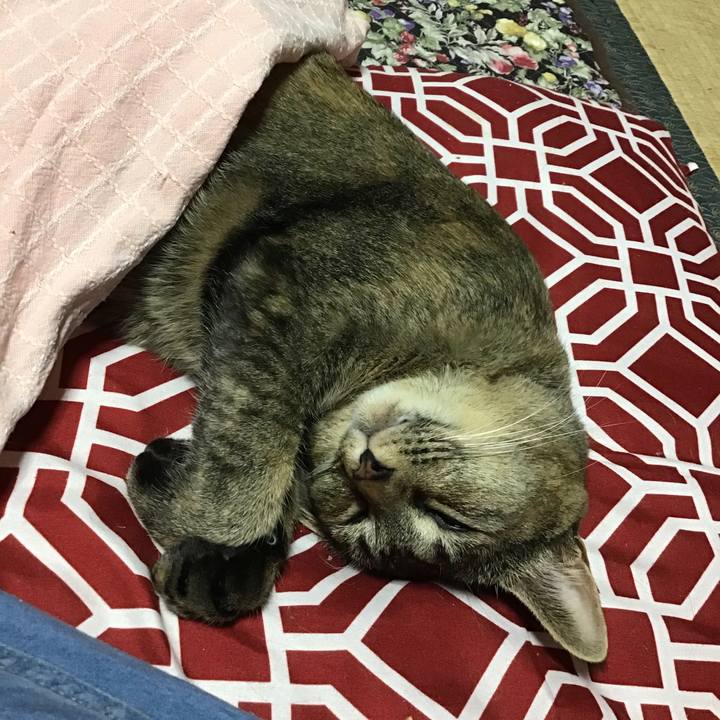 20aa2580 def0 4104 a237 a9b3dccb1354 1635647268353