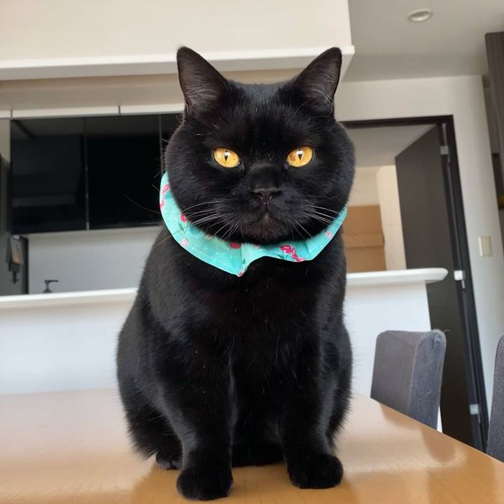 20aa5fbd 4f29 4143 8996 b244626fa84c 1649727010745