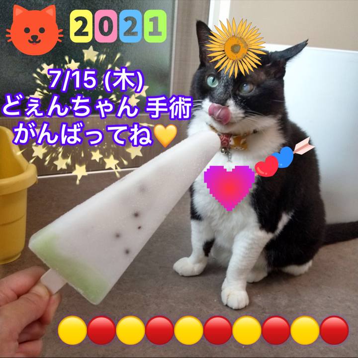 20aa8157 6b9c 43b7 9d62 109ccaa2b027 1626258512088