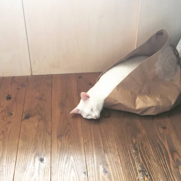 20aa8ba2 b8f5 4d6d 8e2e e8dd63f3fd3b 1529547149771