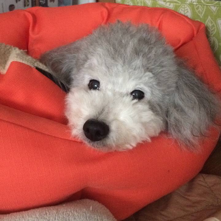 20aaa760 8b99 495b bc8b 2d47ef073d9f 1508641937029