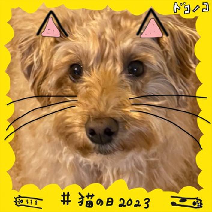 20aad849 cbbd 43ac a397 d5d93f343fc1 1677017989615