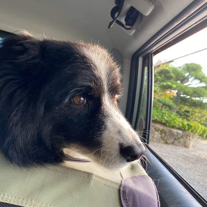 20aaf4f0 9ca5 4e8b b96e 315cdcf47fff 1662242921115