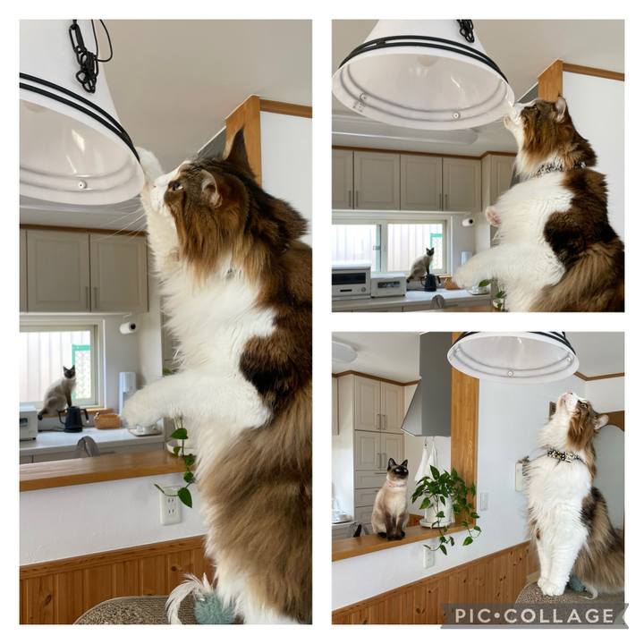 20ab1691 b229 41a4 91de c8c38602749b 1719114694897