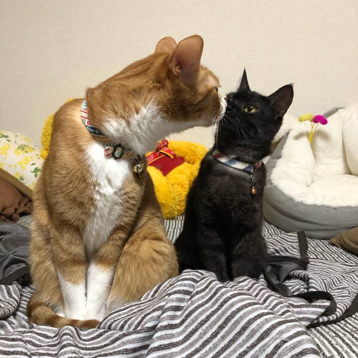 20ab1e3c 0413 47ca ae08 269863e9723d 1627040370128