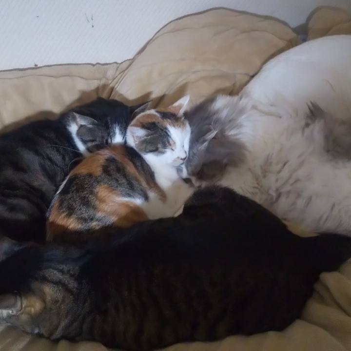 20ab27d0 b125 4165 8bac 49d591d81eef 1706494665344