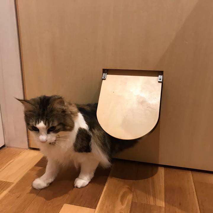 20ab2f90 4a06 427a bd54 d0d8a2aec247 1639469330287