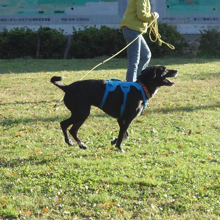 20ab63cb 87f6 4bce a108 d1a2a3fda267 1604105877198