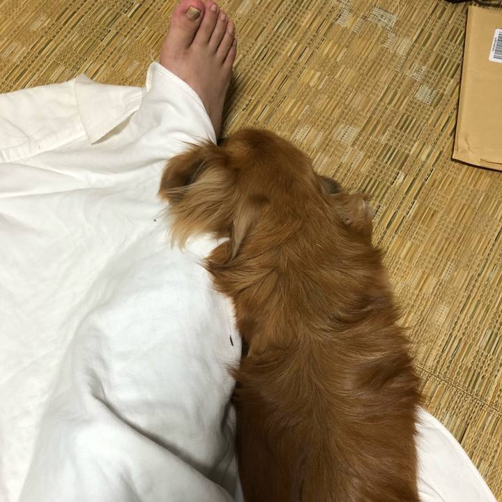 20ab6737 8ea0 47ff b103 4bd838f797f1 1526808505469