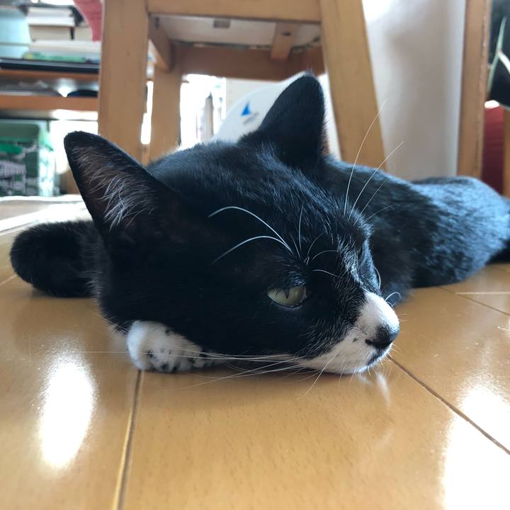 20ab78fb 6419 4f11 8c18 6e4dd6fc92bd 1630899031661