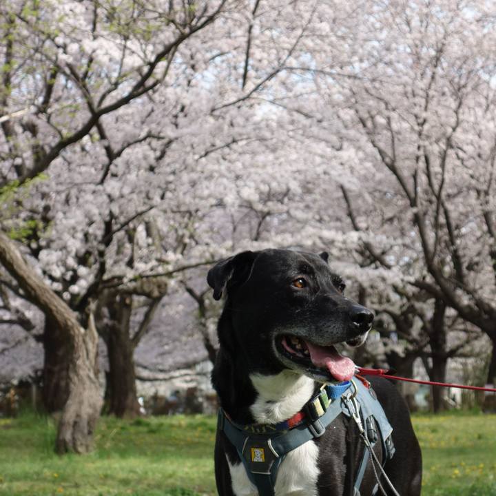 20abb226 234e 41ee a5db 82580491328a 1712539675141