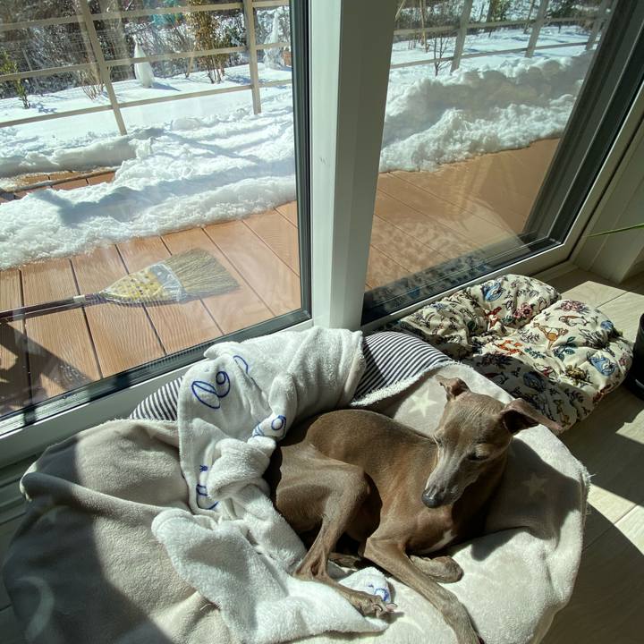 20ac0dc3 6bbb 4f69 814f 129aa675fb58 1770605232839