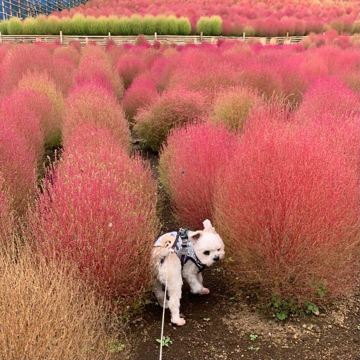 20ac1b0f 78ab 4e3b be24 06a8dd38fdd1 1602756418869