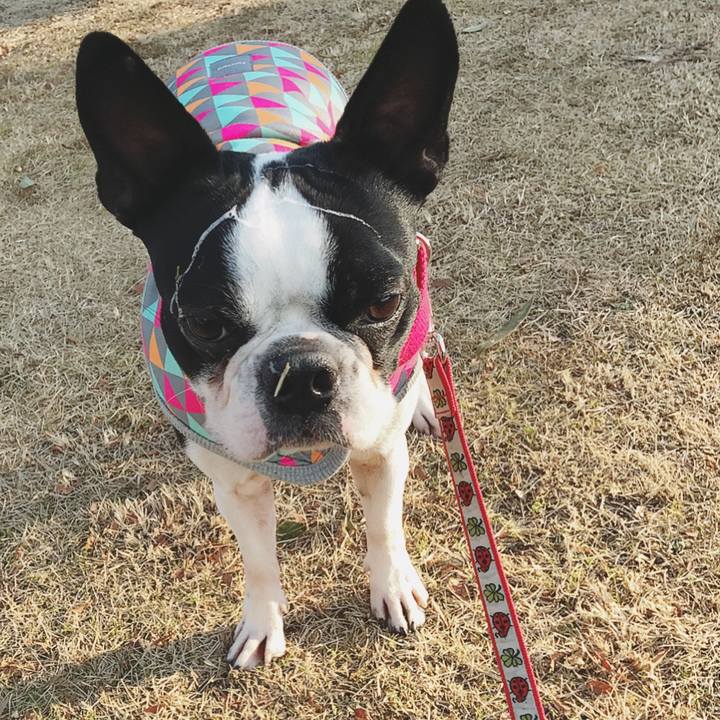 20ac2d6f 3f29 44d3 a4ea 8ad13a7633cb 1515747190513