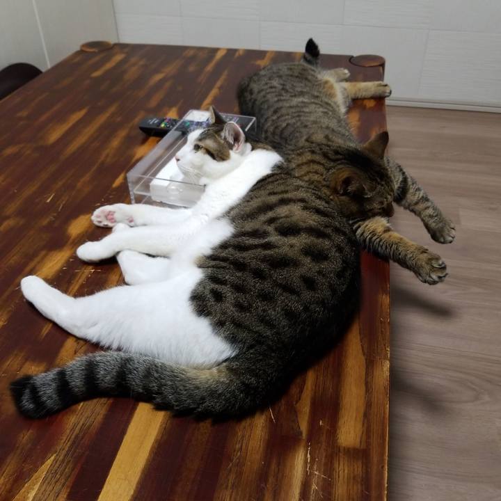 20ac4b51 a380 422b b734 50aa31c5d564 1569964537202