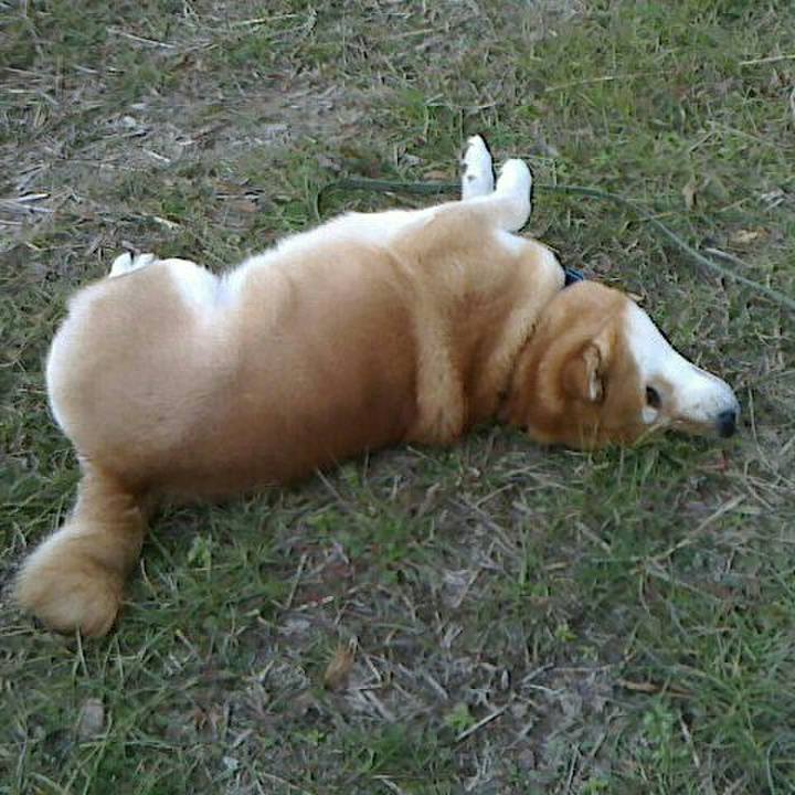 20ac55bb 5c2f 439e a090 aa25f667e784 1547712751408