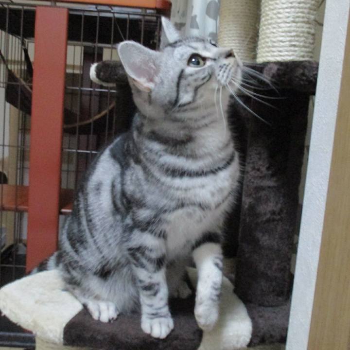 20ac6f9f 9c05 4c7e a2cb bca67b15e6c4 1544706525151